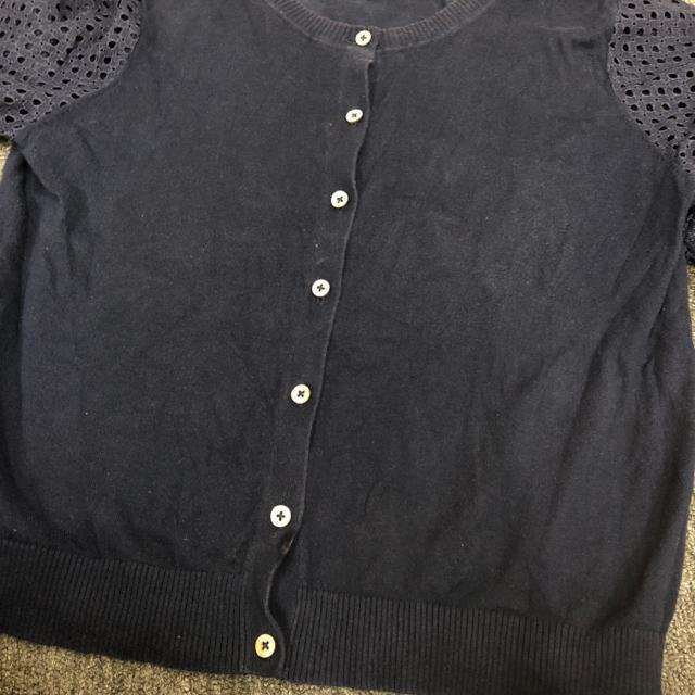  LAURA ASHLEY [AVC J[fBK lCr[  uh 