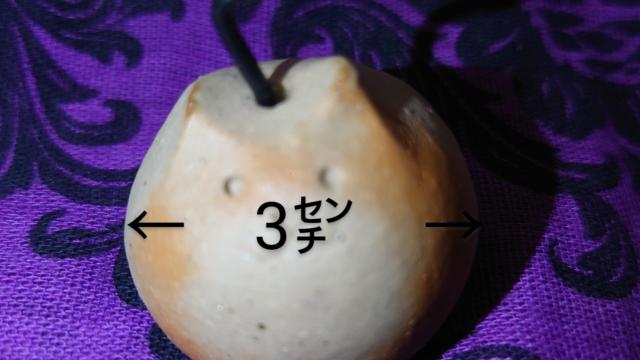 ���O�ā@�L�^�����X�^���h�@�@�u���@�L�G�� �� �C���e���A/���C�t�� 