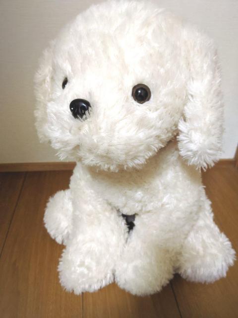 45cm  rbO Vi  zCg ʂ l` go[    