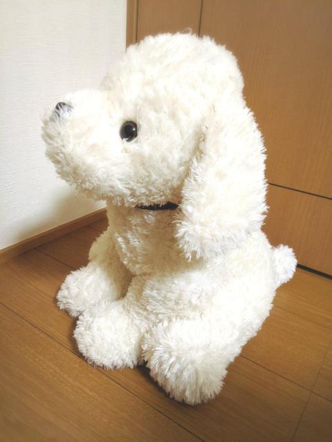 45cm  rbO Vi  zCg ʂ l` go[   