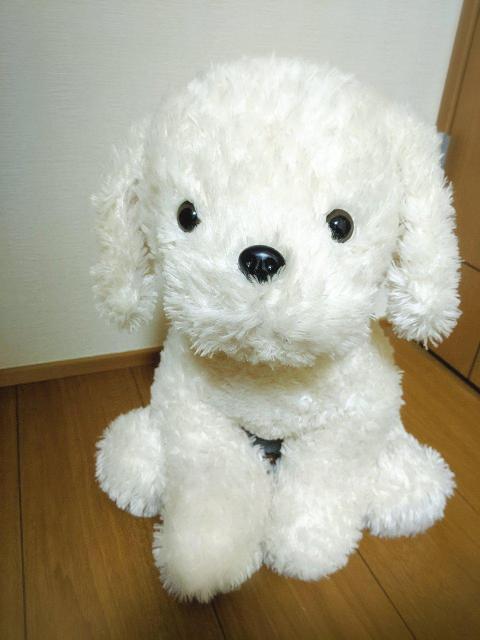 45cm  rbO Vi  zCg ʂ l` go[   