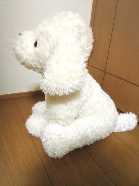 45cm  rbO Vi  zCg ʂ l` go[   