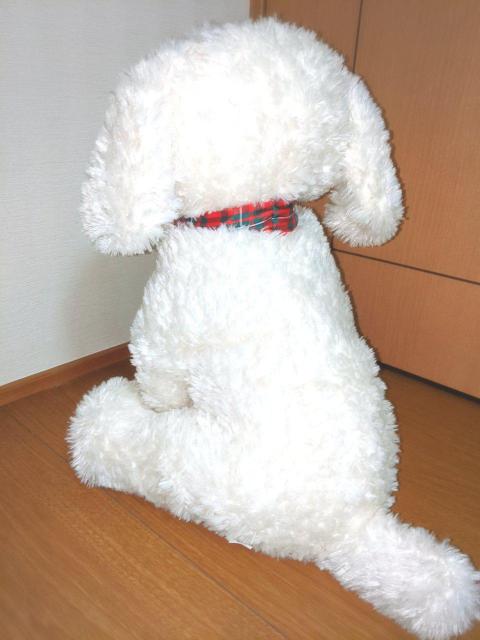 45cm  rbO Vi  zCg ʂ l` go[   