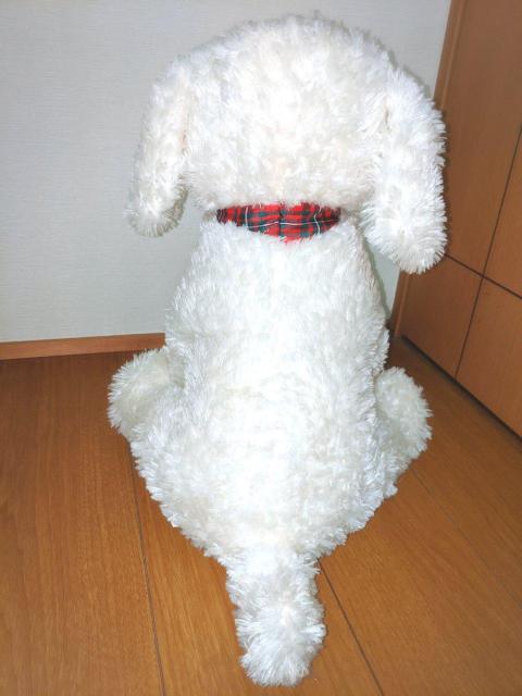 45cm  rbO Vi  zCg ʂ l` go[   