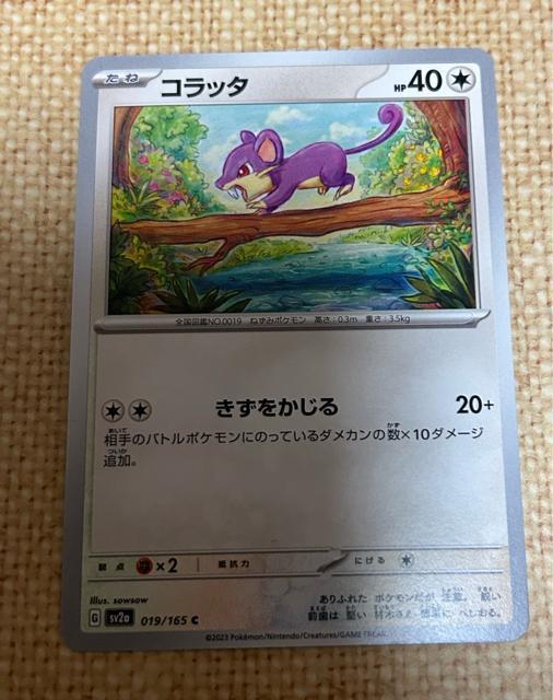 ポケモンカード コラッタ < トレーディングカード ポケモンカード コラッタ < トレーディングカードの