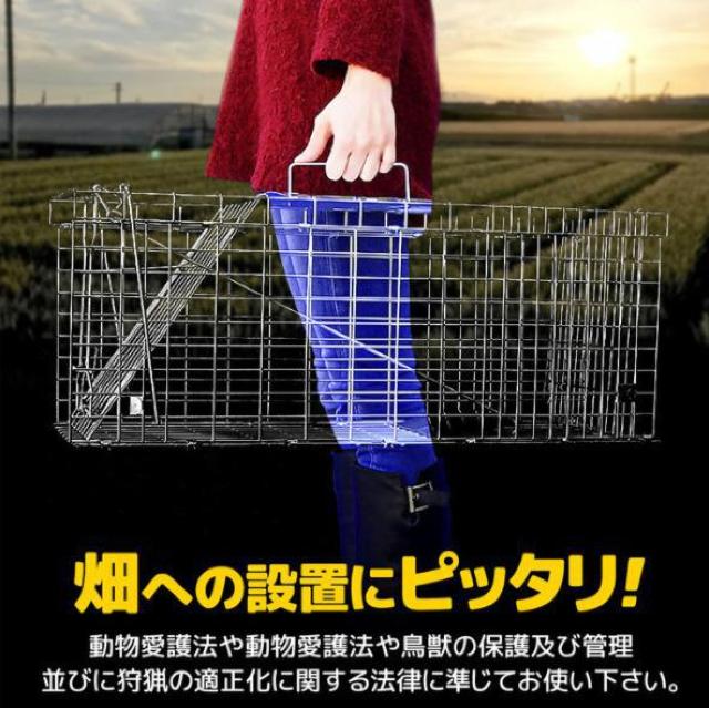 �����ߊl�� L�T�C�Y�@�A�j�}���g���b�v�@�Q�b �� �y�b�g/��|/���|�� 