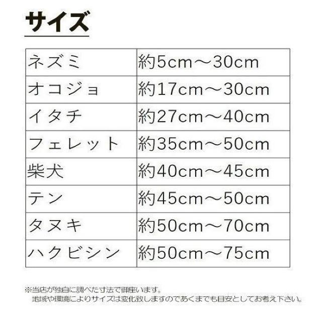 �����ߊl�� L�T�C�Y�@�A�j�}���g���b�v�@�Q�b �� �y�b�g/��|/���|�� 