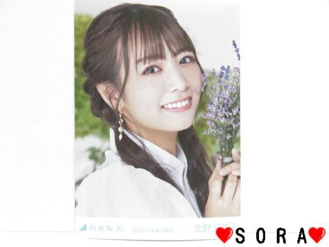 【乃木坂46/北野日奈子】2022年 Lucky Bag ラッキーバッグ福袋♪生写真 < タレントグッズ  【乃木坂46/北野日奈子】2022年 Lucky Bag ラッキーバッグ福袋♪生写真  < タレントグッズの