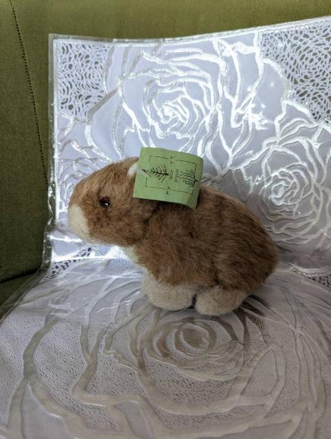 ナキウサギ/なきうさぎ/ぬいぐるみ/吉徳/ヨシトク/動物園限定/昭和レトロ/稀少品 < おもちゃ  ナキウサギ/なきうさぎ/ぬいぐるみ/吉徳/ヨシトク/動物園限定/昭和レトロ/稀少品 < おもちゃの