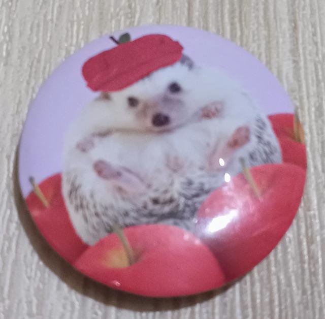 ハリネズミさんバッジ 送料込み < 女性アクセサリー/時計  ハリネズミさんバッジ 送料込み  < 女性アクセサリー/時計の