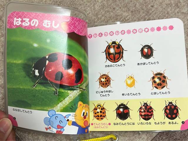 おでかけずかん春夏秋冬 < 本/雑誌 おでかけずかん春夏秋冬 < 本/雑誌の