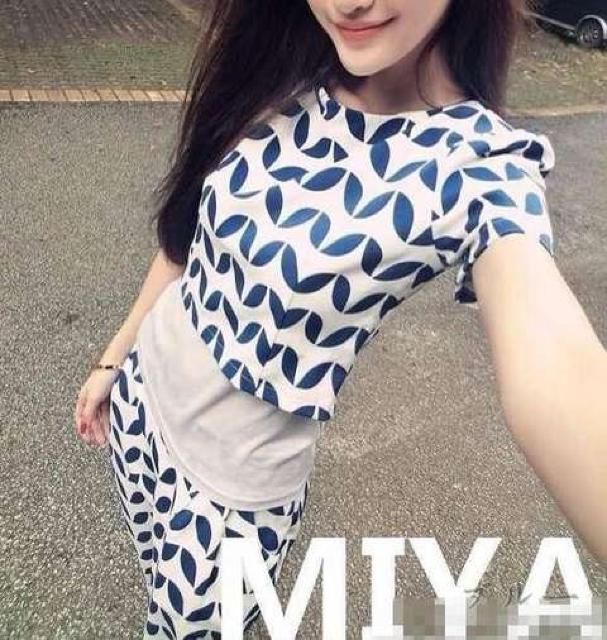 NEWt^oV[gT^CgSX[c㉺EBL   t@bV 