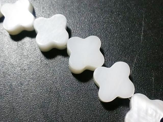 VR΁lno@~jN[o[@A  ANZT[/v 