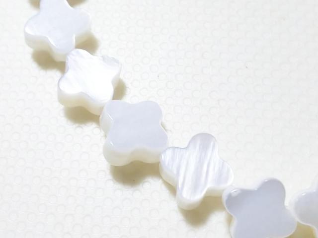 VR΁lno@~jN[o[@A  ANZT[/v 