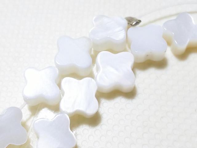 VR΁lno@~jN[o[@A  ANZT[/v 