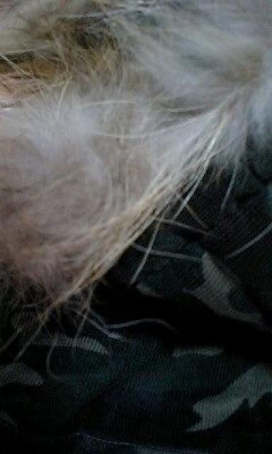 ★ちびギャルちびメン★新品★ミリタリーファーノースリパーカ < キッズ/ベビー  ★ちびギャルちびメン★新品★ミリタリーファーノースリパーカ < キッズ/ベビーの