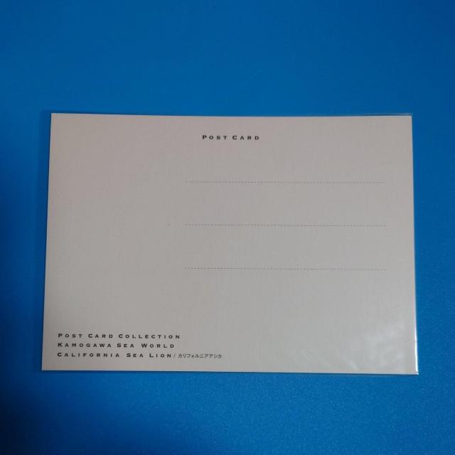 ポストカード◇カリフォルニアアシカ◇鴨川シーワールド◇未使用 < ホビー ポストカード◇カリフォルニアアシカ◇鴨川シーワールド◇未使用 < ホビーの