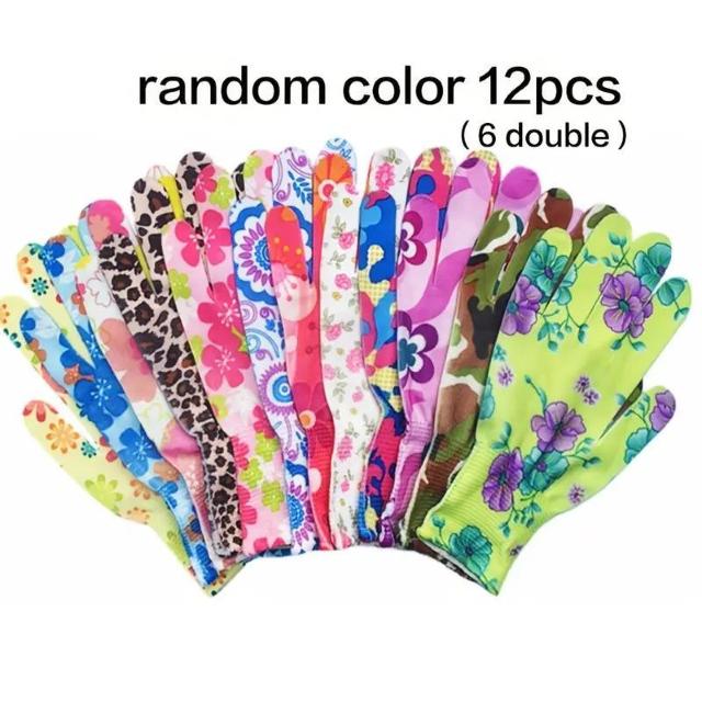 590~ 12i6Zbgj fB[X K[fjOO[u tėp iC  ʋC    _   t@bV 