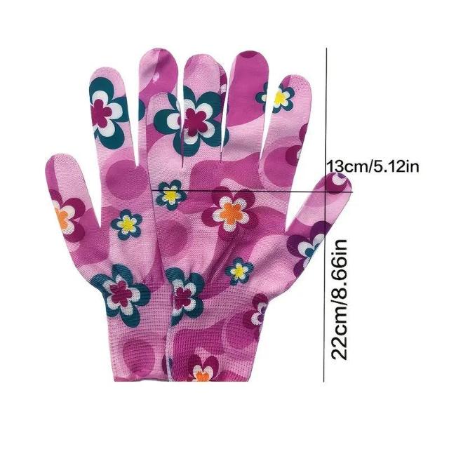 590~ 12i6Zbgj fB[X K[fjOO[u tėp iC  ʋC    _  t@bV 