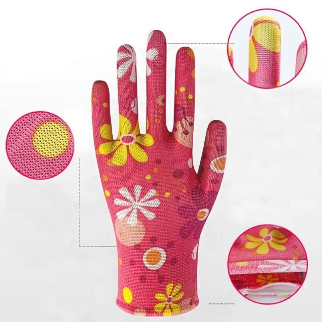 590~ 12i6Zbgj fB[X K[fjOO[u tėp iC  ʋC    _  t@bV 