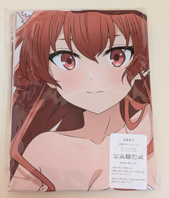 無職転生 エリス 抱き枕カバー2 < アニメ/コミック/キャラクター  無職転生 エリス 抱き枕カバー2 < アニメ/コミック/キャラクターの