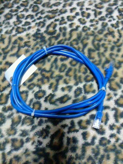 LANケーブル約2m < PC本体/周辺機器  LANケーブル約2m  < PC本体/周辺機器の