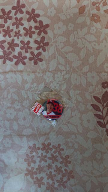 カープバッチ 赤松 < レジャー/スポーツ  カープバッチ 赤松  < レジャー/スポーツの