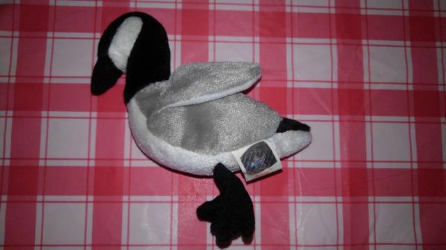 TY Beanie Baby�@�r�[�j�[�x�C�r�[�@�I�����E�[�^���@�T���@�ʂ�����݁@���K�i�@A�����N�@���܂��t���@���g��