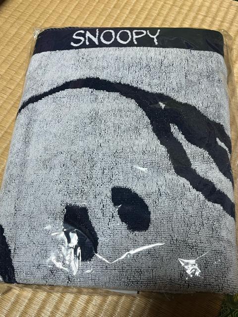 �X�k�[�s�[ �ӂ���o�X�^�I�� ���[�\��