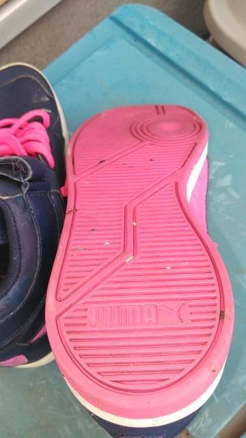 PUMA �~�h���J�b�g�X�j�[�J�[ �o�b�V�� �Q�Scm �� �����t�@�b�V������ 