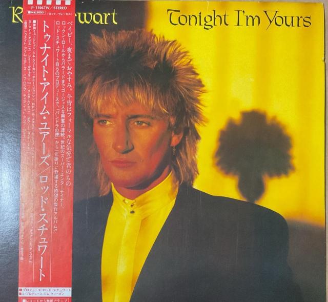 ���b�h�E�X�`�����[�g �g�D�i�C�g�E�A�C���E���A�[�Y LP���R�[�h P-11067W  �� CD/DVD/�r�f�I�� 