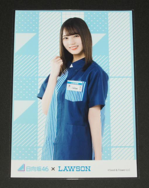 日向坂46 生写真1枚 小坂菜緒 LAWSON ローソン < タレントグッズ  日向坂46 生写真1枚 小坂菜緒 LAWSON ローソン  < タレントグッズの