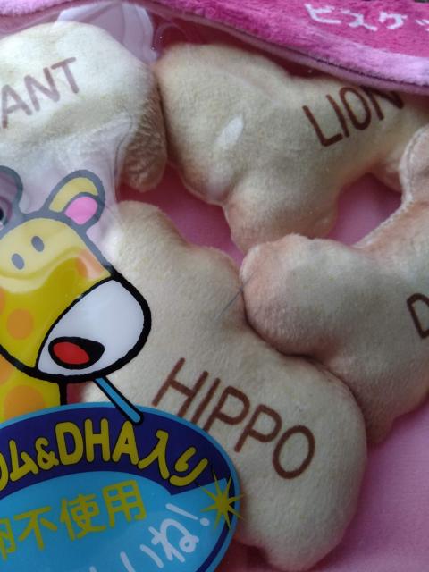 ׂqǂԂ}XRbgNbV  CeA/Ct 