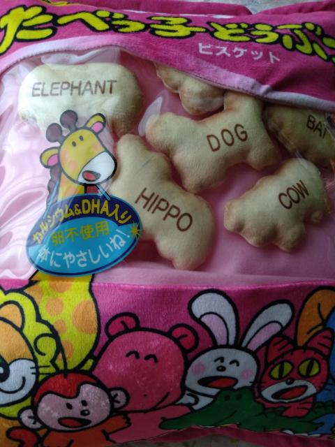 ׂqǂԂ}XRbgNbV  CeA/Ct 