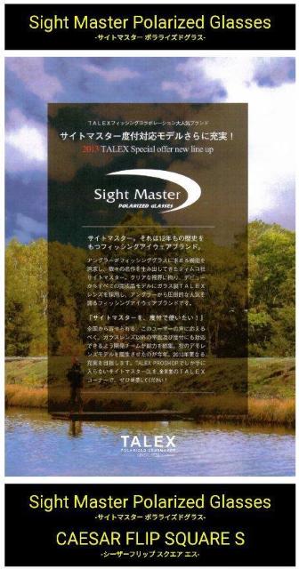 サイトマスターシーザーフリップスクエア S-SSMX タレックス TALEX 偏光グラス EG イーズグリーン チタン < レジャー/スポーツ  サイトマスターシーザーフリップスクエア S-SSMX タレックス TALEX 偏光グラス EG イーズグリーン チタン < レジャー/スポーツの