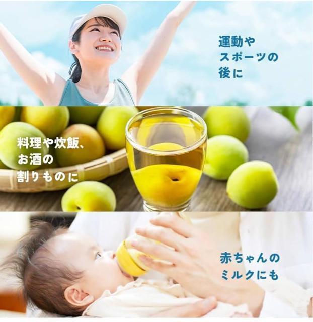 xmR̓VR 500ml 24{Zbg