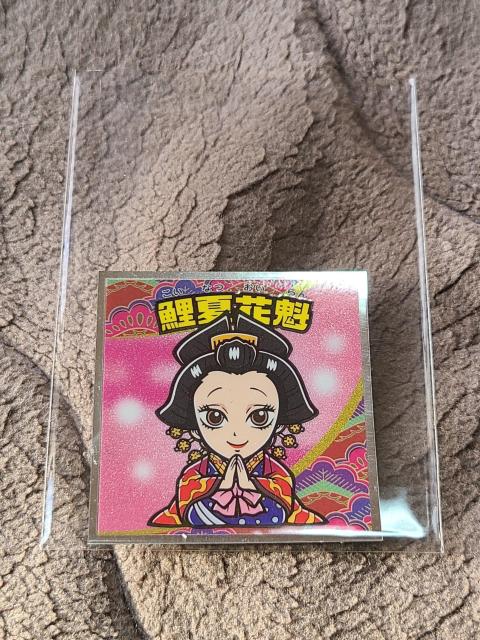 �S�ł̐n�}��(�V�s��)�@NO.8 ��ĉԊ@  �� �z�r�[�� 