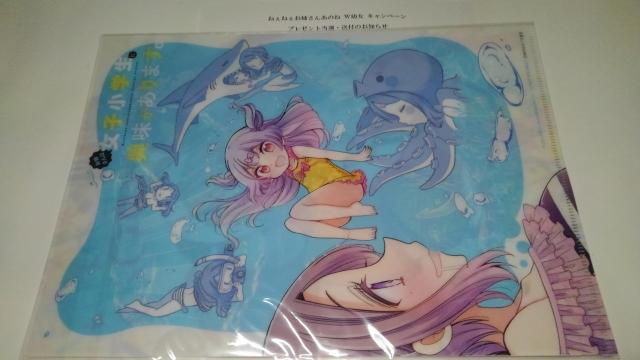 お姉さんは小学生に興味があります。 ねぇねぇ。あのね、 非売品 限定 クリアファイル Sランク < アニメ/コミック/キャラクター  お姉さんは小学生に興味があります。 ねぇねぇ。あのね、 非売品 限定 クリアファイル Sランク  < アニメ/コミック/キャラクターの