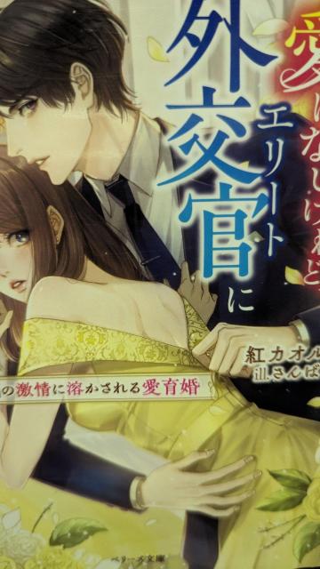 愛はないけれどエリート外交官に今夜抱かれます★紅カオル★ベリーズ文庫 < 本/雑誌 愛はないけれどエリート外交官に今夜抱かれます★紅カオル★ベリーズ文庫 < 本/雑誌の