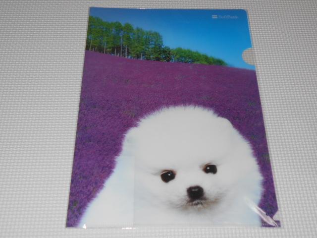 SoftBank NAt@C 2017  Ǘԍ2ViJ   zr[ 