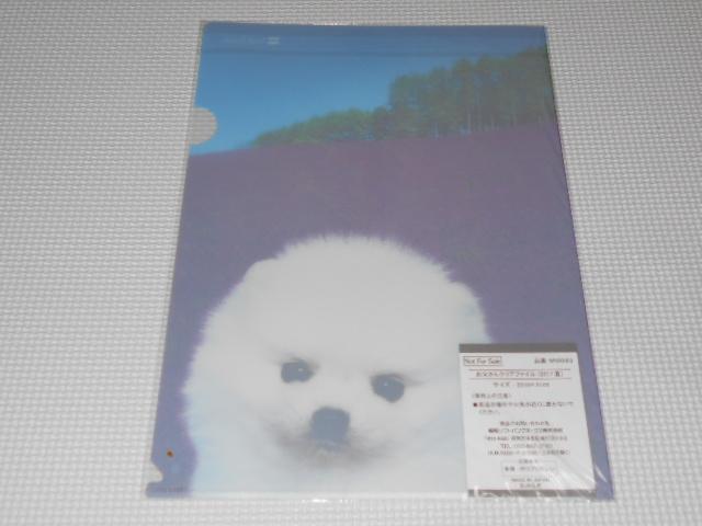 SoftBank NAt@C 2017  Ǘԍ2ViJ  zr[ 