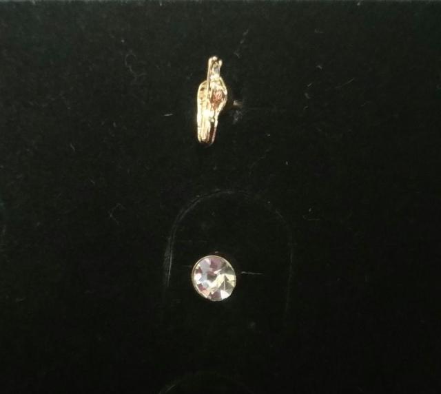 未使用 ピアス2点セット 小さめ クリアストーン 羽 ゴールドピアス < 女性アクセサリー/時計 未使用 ピアス2点セット 小さめ クリアストーン 羽 ゴールドピアス < 女性アクセサリー/時計の