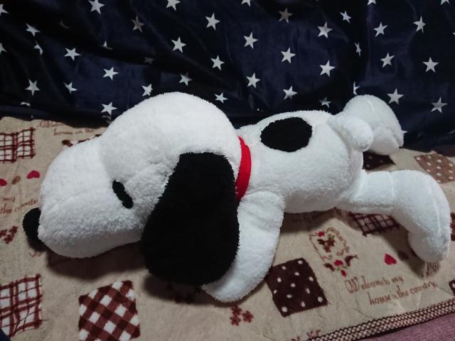 jo[TX^WIWp Xk[s[ Q[   Aj/R~bN/LN^[ 