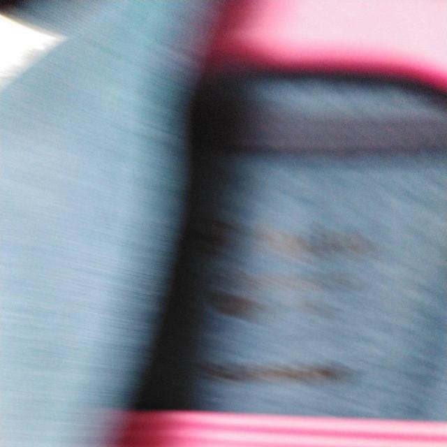 フォックスファイアージャケット2 < レジャー/スポーツ  フォックスファイアージャケット2 < レジャー/スポーツの