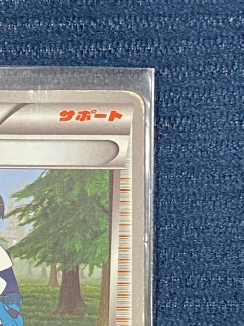 ポケモンカード チェレン サポートカード スリーブ入り < トレーディングカード  ポケモンカード チェレン サポートカード スリーブ入り < トレーディングカードの