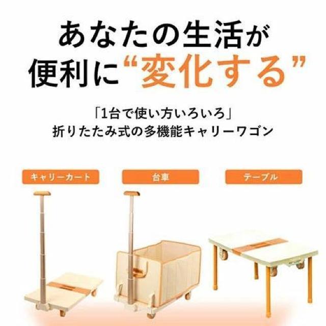  } jL[ V[ɍ킹ĐFȌ`ɕό`4WAYL[S ubN ASN Se-40457  W[/X|[c 