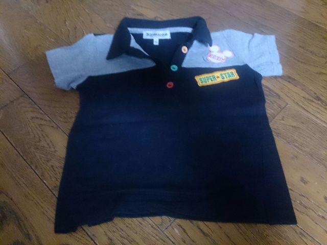 110 Sirmione ~bL[}EX i    LbY/xr[ 