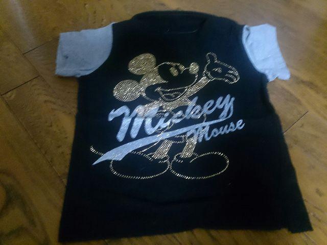 110 Sirmione ~bL[}EX i   LbY/xr[ 