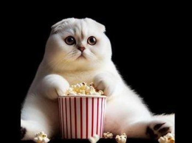 I[vGh wB[EFCg TVcL@Ć@킢  t@bV 