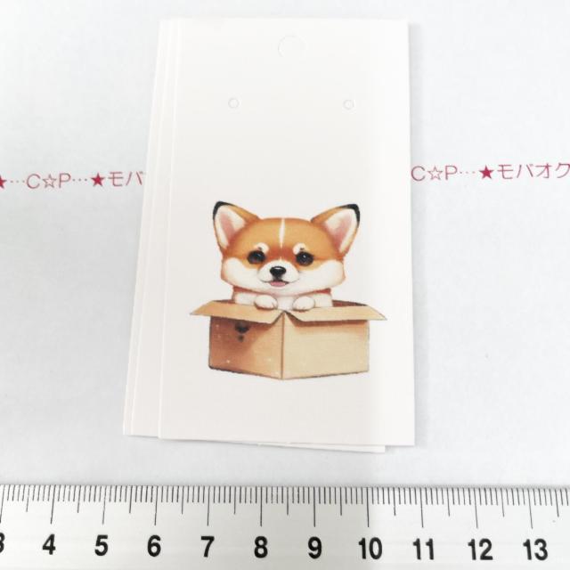 ��i�����̃A�N�Z�T���[�䎆�@3���@�^�O�ɂ���202  �� �C���e���A/���C�t�� 